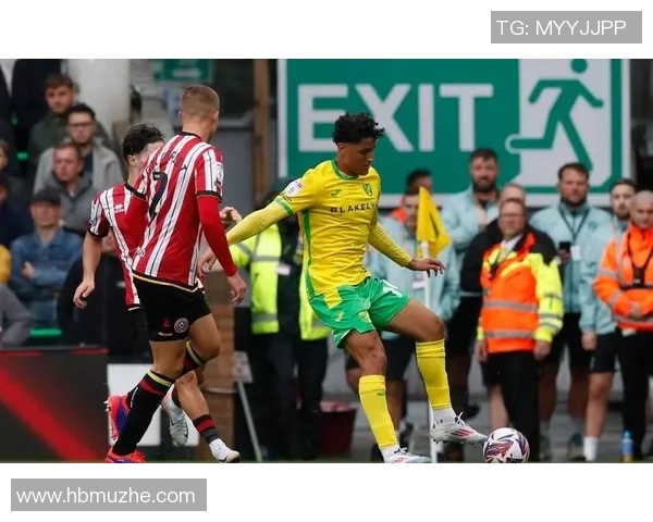 布莱顿主场迎战谢菲联双方争夺英超宝贵积分的激烈对决