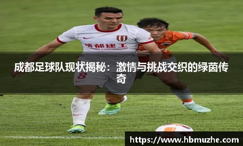 成都足球队现状揭秘：激情与挑战交织的绿茵传奇